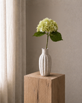 Light Green Hydrangea <br> -Master Carton: 24 pcs