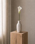 White Calla Lily <br> Master Carton: 24 pcs