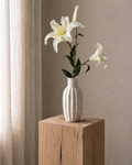 White Large Lily <br> Master Carton: 24 pcs