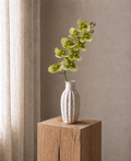 Green Orchid<br> Master Carton: 24 pcs