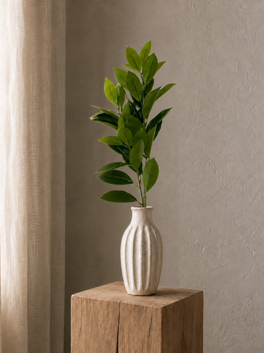Green Ruscus Leaves  <br> Master Carton: 24 pcs