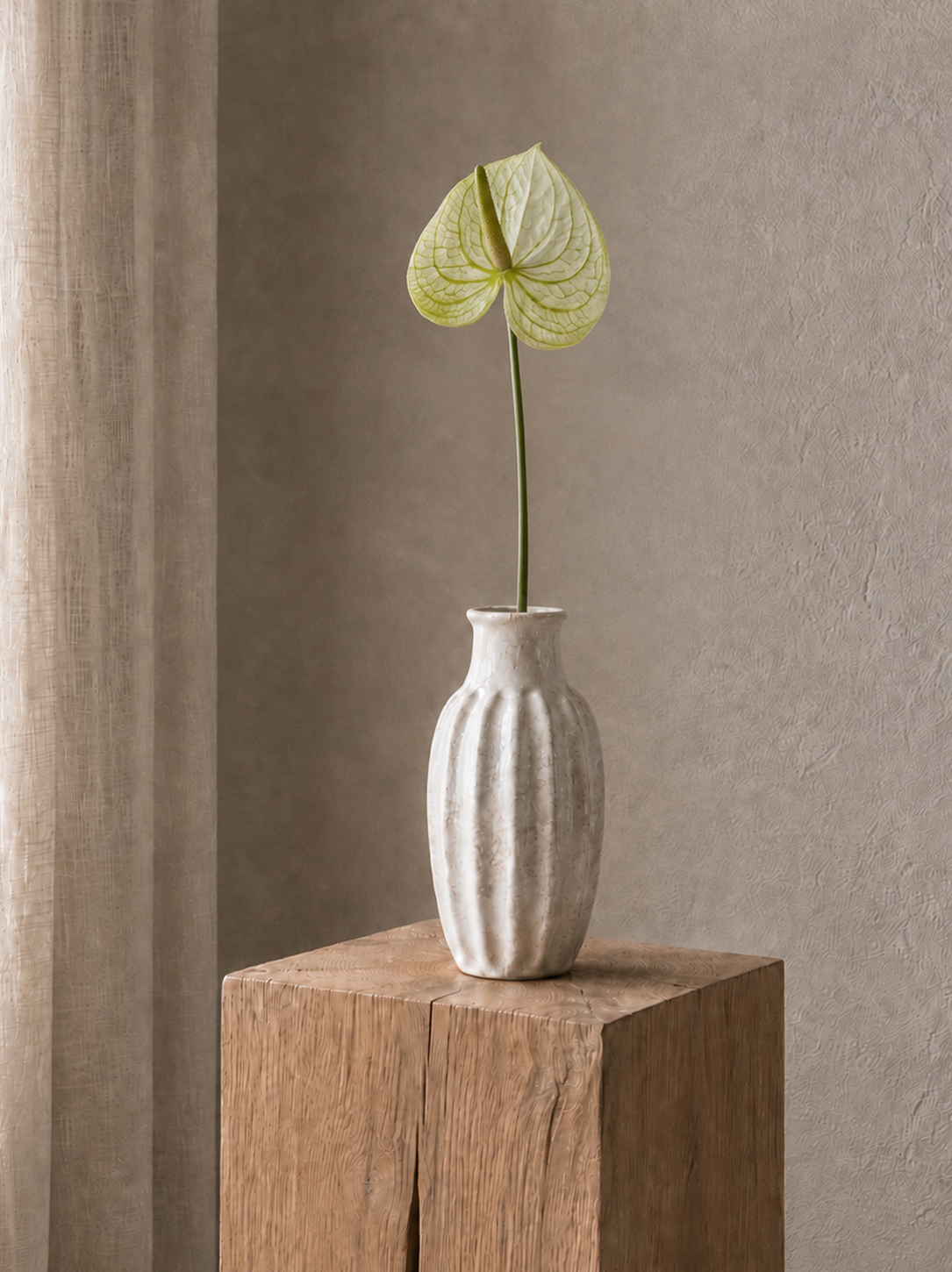 Anthurium <br> Master Carton: 24 pcs