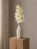 Vanda Orchid <br> Master Carton: 24 pcs