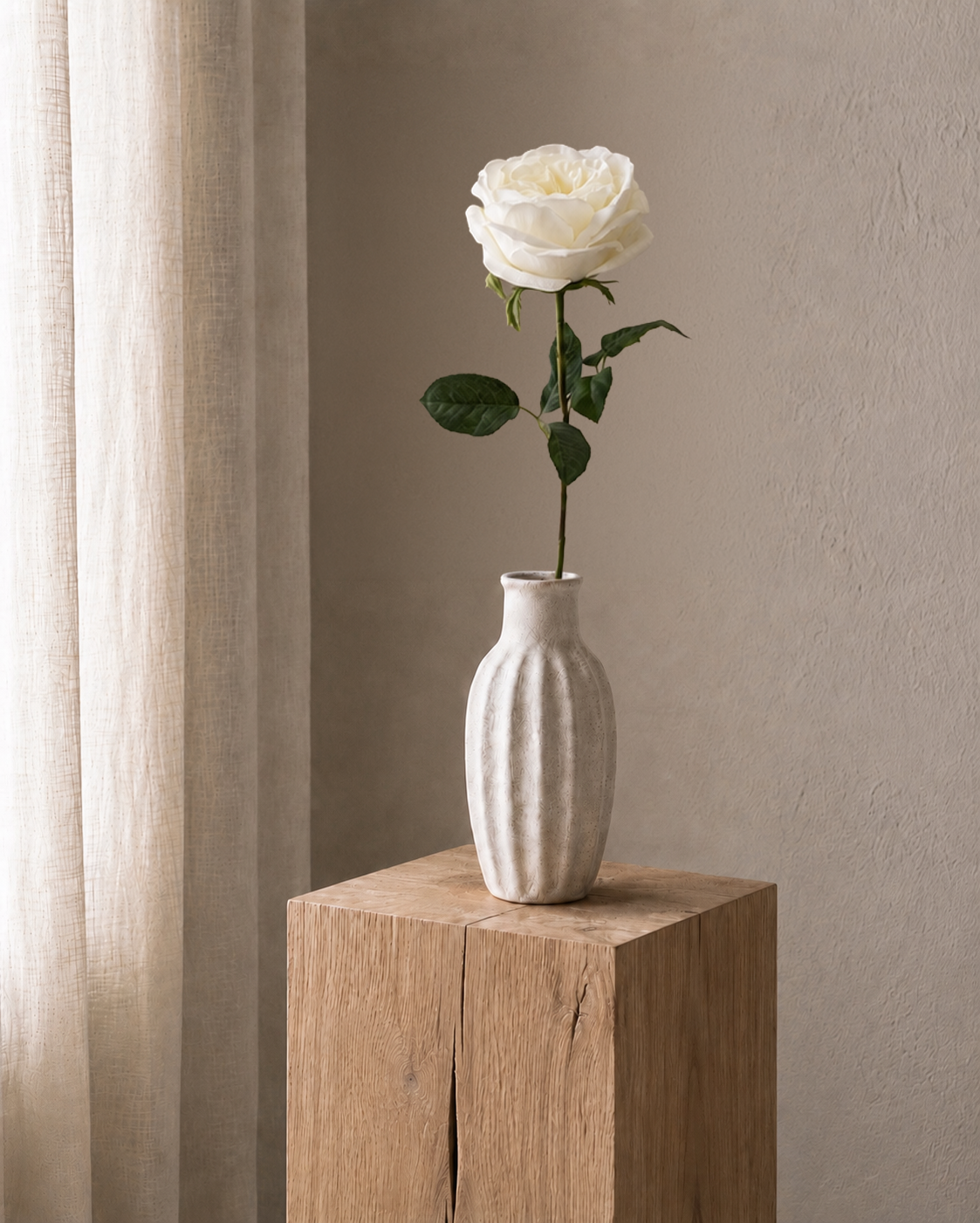 White Rose<br>- Master Carton: 24 pcs