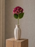 Dark pink hydrangea <br> -Master Carton: 24 pcs