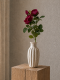 Dark Pink Garden Rose <br> -Master Carton: 24 pcs
