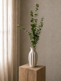 Green eucalyptus<br> -Master Carton: 24 pcs