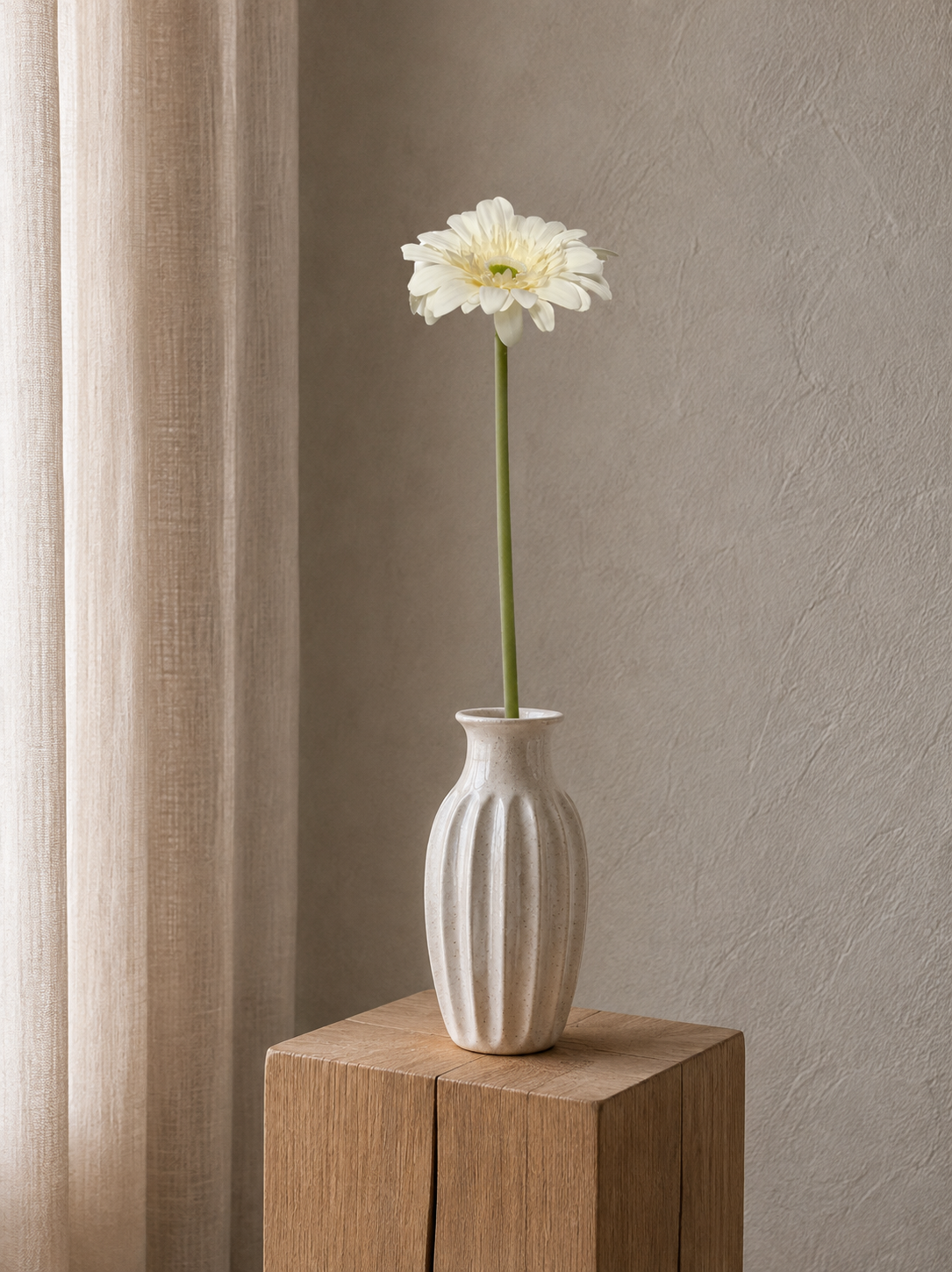 Cream Gerbera <br> -Master Carton: 24 pcs