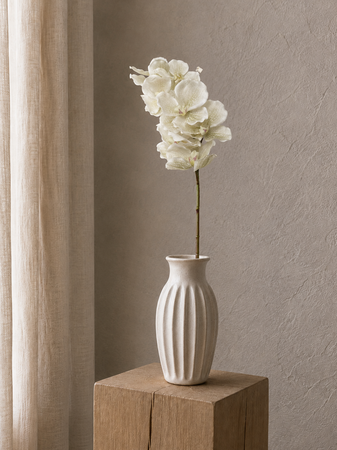 White Orchid <br> -Master Carton: 24 pcs