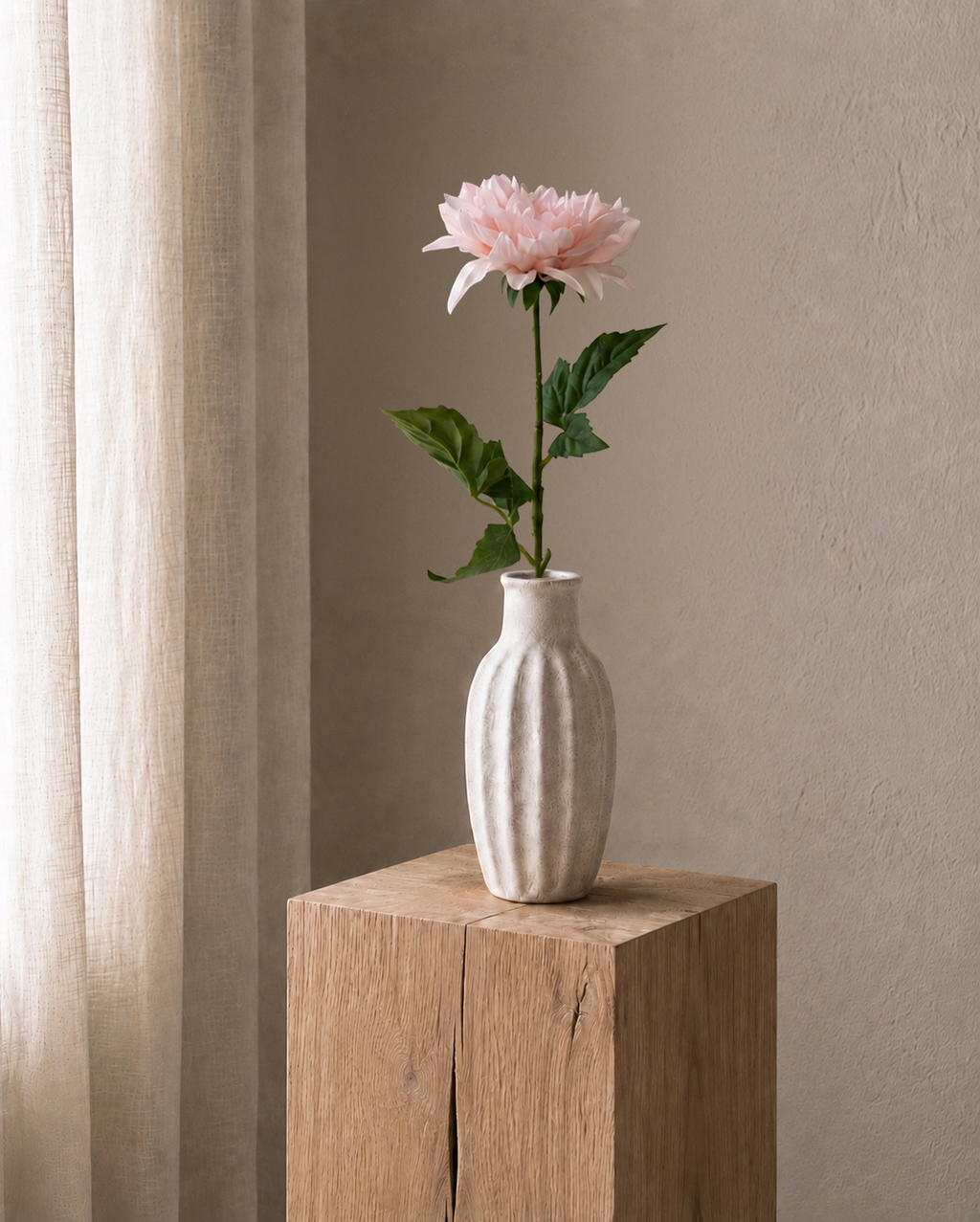 Pink Dahlia <br> -Master Carton: 24 pcs
